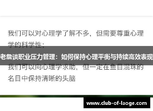老詹谈职业压力管理:如何保持心理平衡与持续高效表现 老詹谈职业压力管理:如何保持心理平衡与持续高效表现