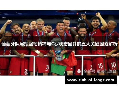 葡萄牙队展现坚韧精神与C罗状态回升的五大关键因素解析 葡萄牙队展现坚韧精神与C罗状态回升的五大关键因素解析