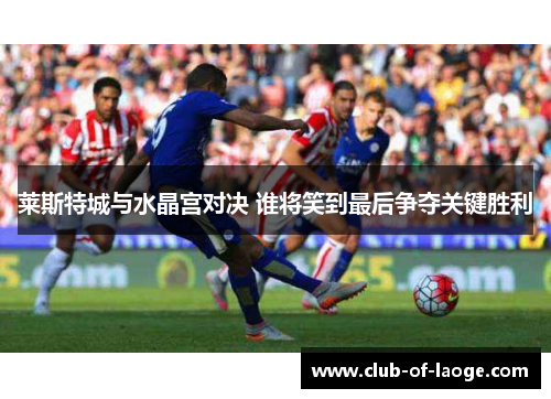 莱斯特城与水晶宫对决 谁将笑到最后争夺关键胜利