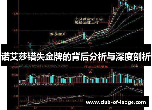 诺艾莎错失金牌的背后分析与深度剖析