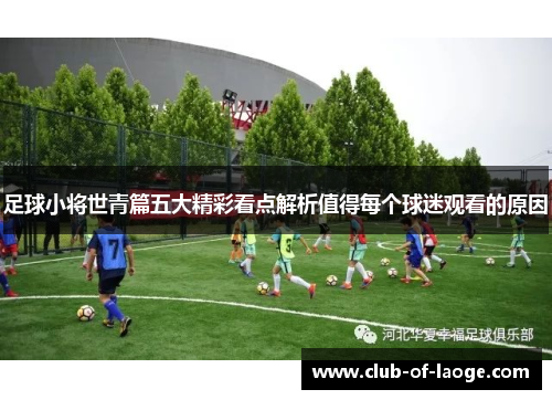 足球小将世青篇五大精彩看点解析值得每个球迷观看的原因