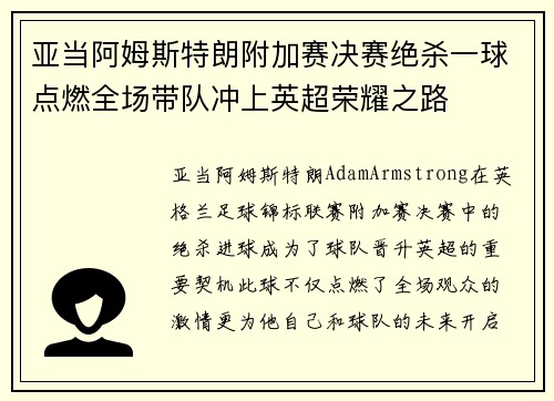 亚当阿姆斯特朗附加赛决赛绝杀一球点燃全场带队冲上英超荣耀之路
